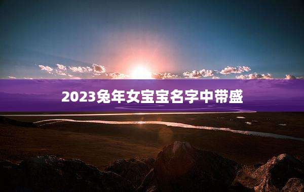 2023兔年女宝宝名字中带盛