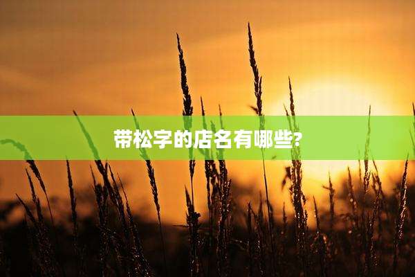 带松字的店名有哪些?