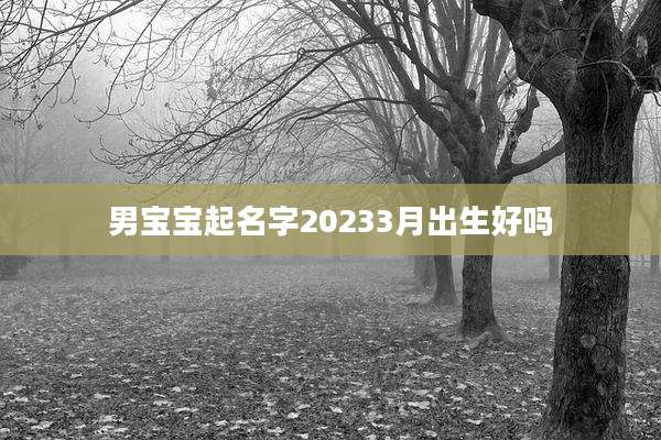 男宝宝起名字20233月出生好吗