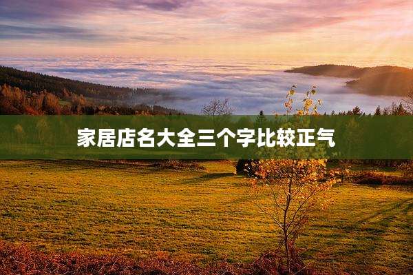 家居店名大全三个字比较正气