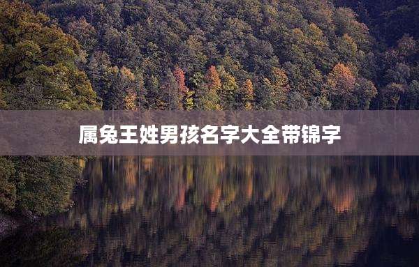 属兔王姓男孩名字大全带锦字