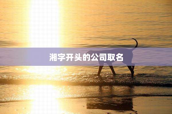 湘字开头的公司取名