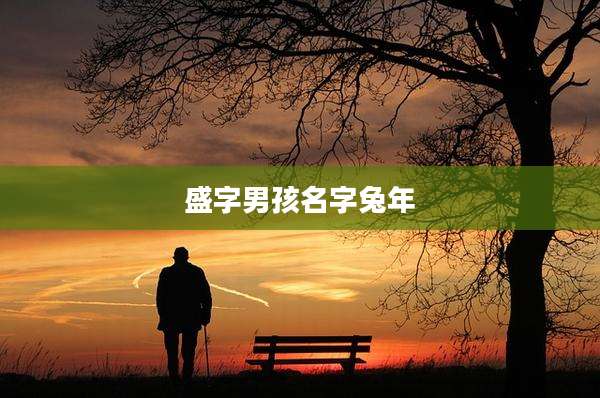 盛字男孩名字兔年