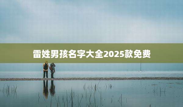 雷姓男孩名字大全2025款免费