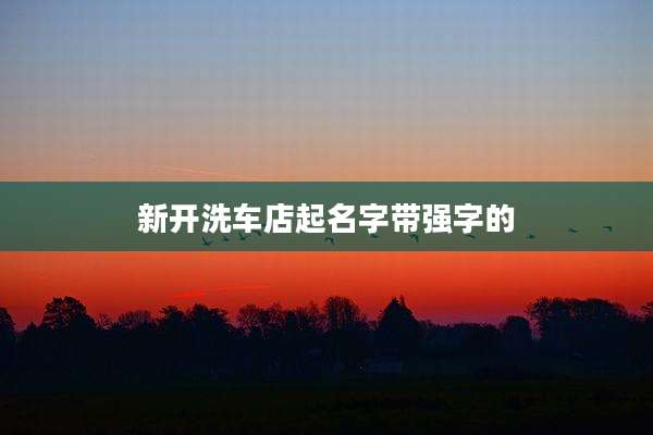 新开洗车店起名字带强字的