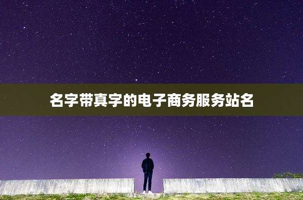 名字带真字的电子商务服务站名