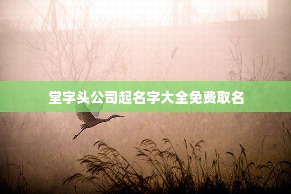 堂字头公司起名字大全免费取名