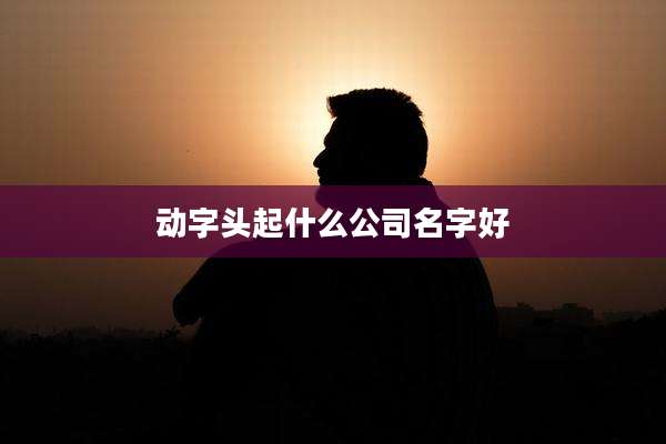 动字头起什么公司名字好