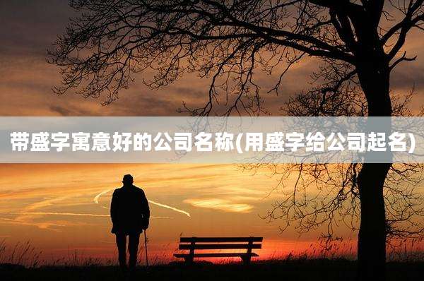 带盛字寓意好的公司名称(用盛字给公司起名)