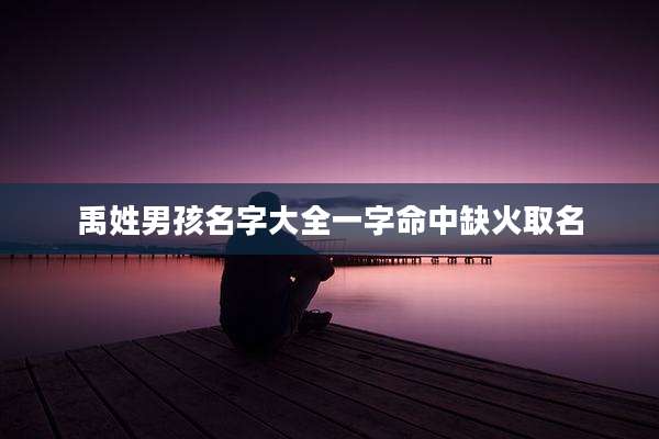 禹姓男孩名字大全一字命中缺火取名