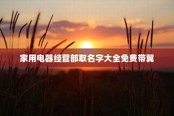 家用电器经营部取名字大全免费带翼