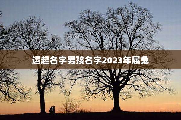 运起名字男孩名字2023年属兔