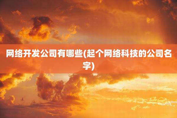 网络开发公司有哪些(起个网络科技的公司名字)