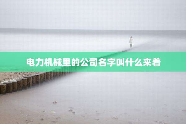 电力机械里的公司名字叫什么来着