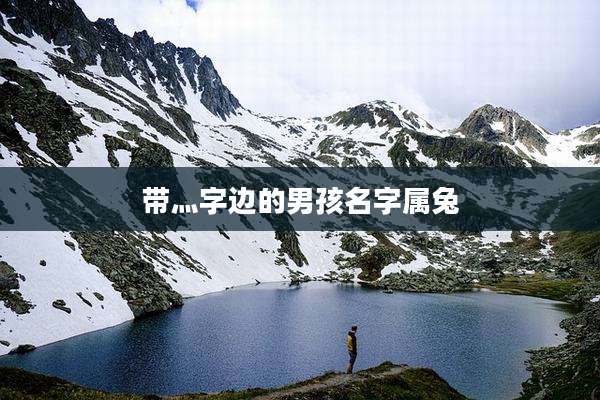 带灬字边的男孩名字属兔