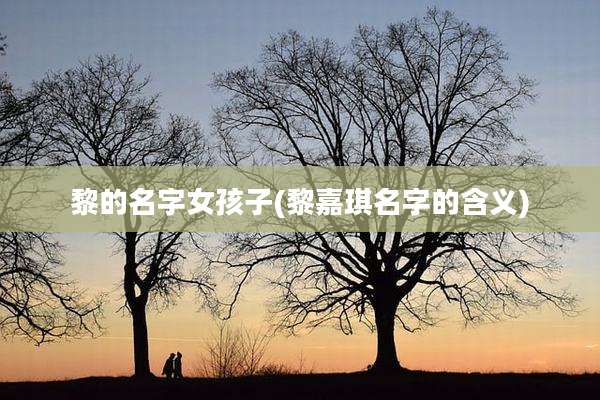 黎的名字女孩子(黎嘉琪名字的含义)