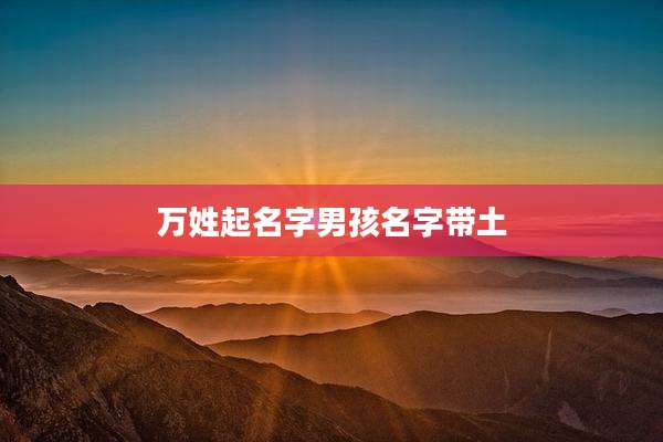 万姓起名字男孩名字带土