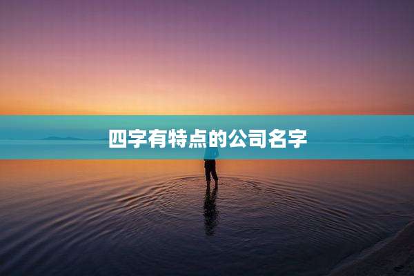 四字有特点的公司名字