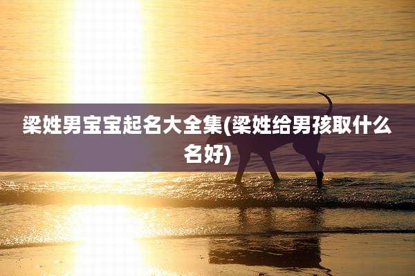 梁姓男宝宝起名大全集(梁姓给男孩取什么名好)