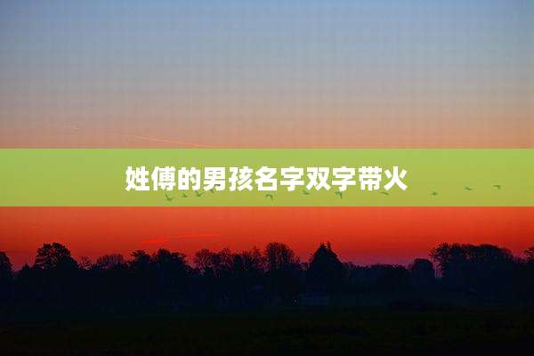 姓傅的男孩名字双字带火