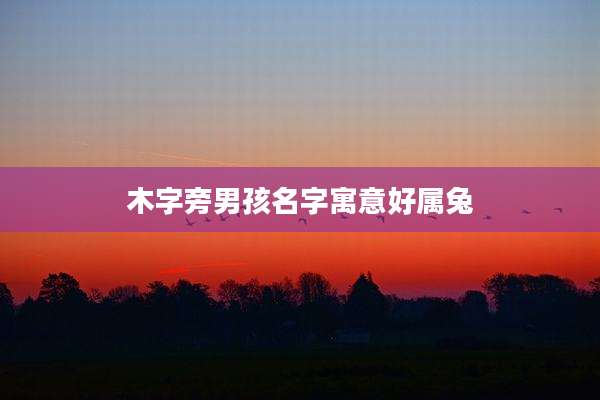 木字旁男孩名字寓意好属兔