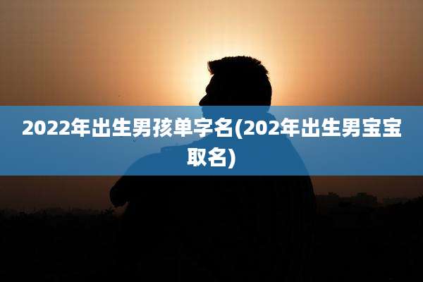 2022年出生男孩单字名(202年出生男宝宝取名)