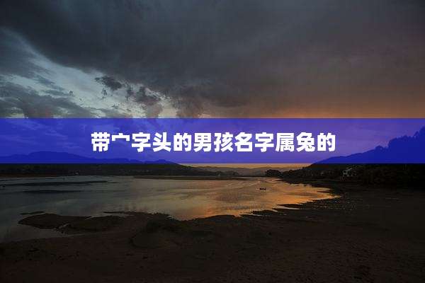 带宀字头的男孩名字属兔的
