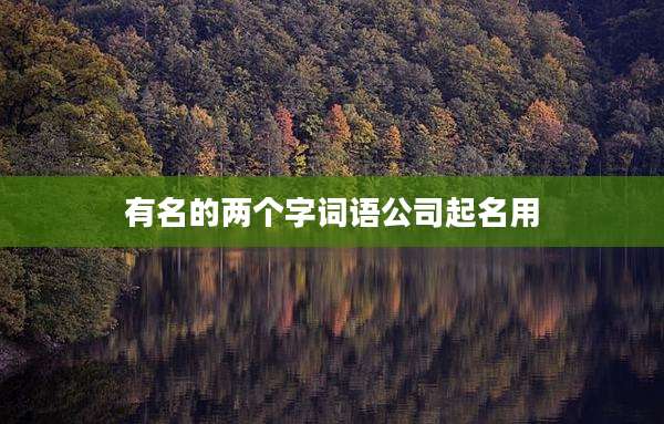 有名的两个字词语公司起名用