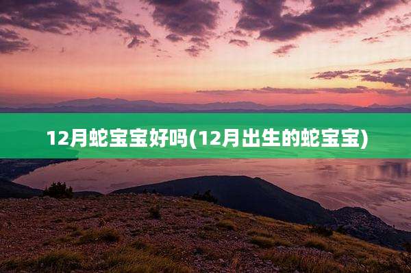 12月蛇宝宝好吗(12月出生的蛇宝宝)