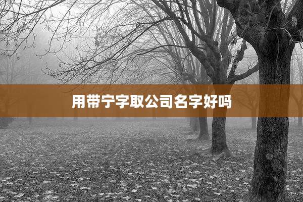 用带宁字取公司名字好吗