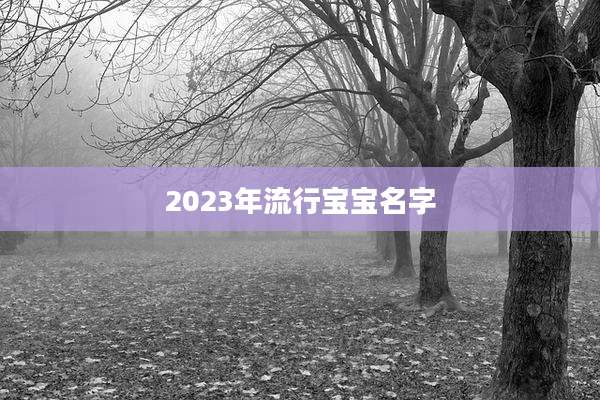 2023年流行宝宝名字