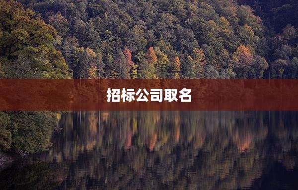 招标公司取名