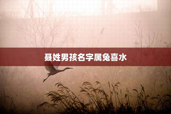 聂姓男孩名字属兔喜水