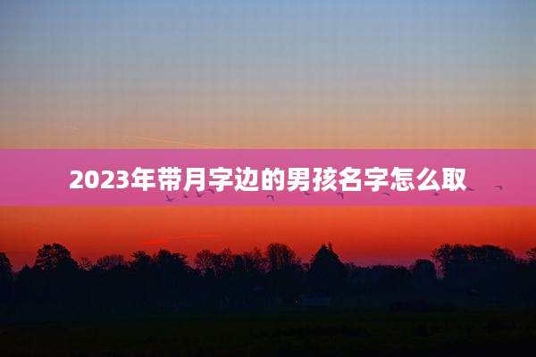 2023年带月字边的男孩名字怎么取
