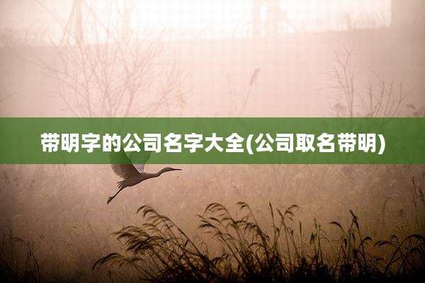 带明字的公司名字大全(公司取名带明)