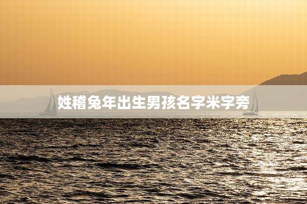 姓稽兔年出生男孩名字米字旁