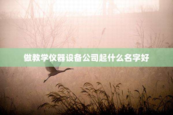 做教学仪器设备公司起什么名字好