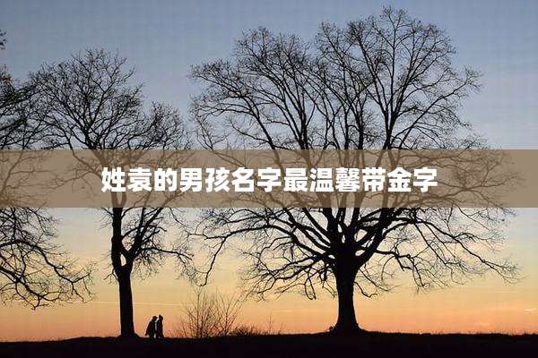 姓袁的男孩名字最温馨带金字