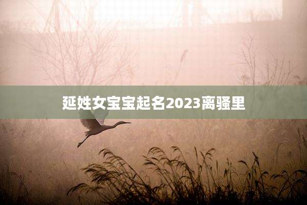 延姓女宝宝起名2023离骚里