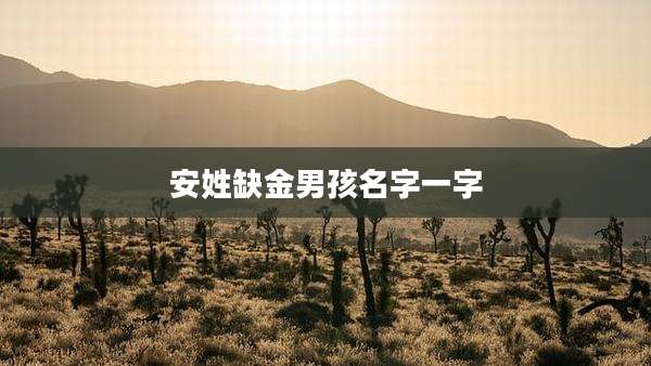 安姓缺金男孩名字一字