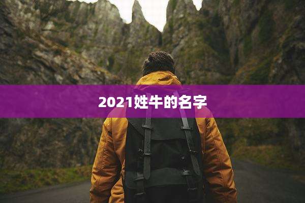 2021姓牛的名字