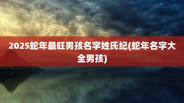 2025蛇年最旺男孩名字姓氏纪(蛇年名字大全男孩)