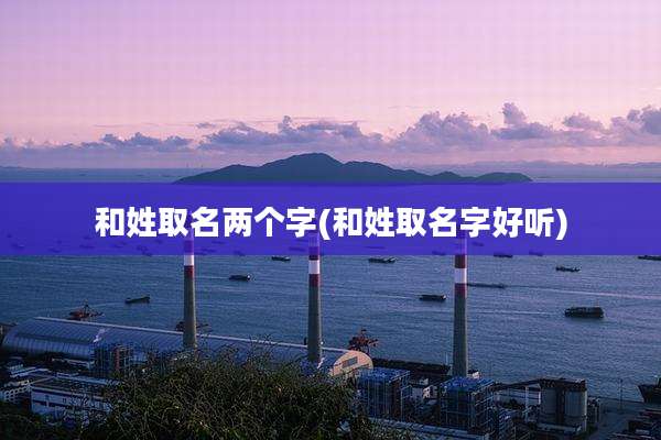 和姓取名两个字(和姓取名字好听)