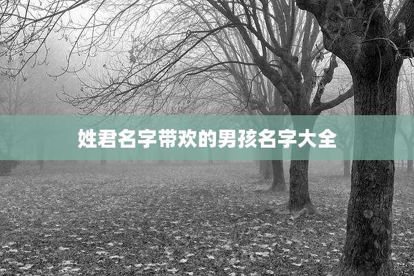 姓君名字带欢的男孩名字大全