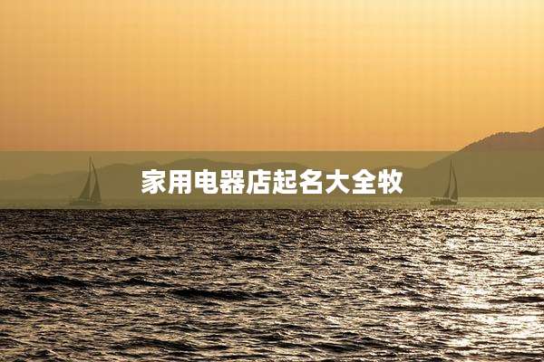 家用电器店起名大全牧