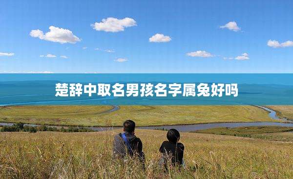 楚辞中取名男孩名字属兔好吗