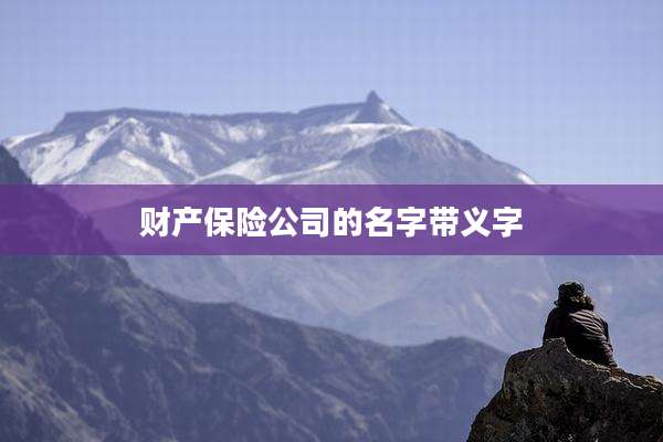 财产保险公司的名字带义字