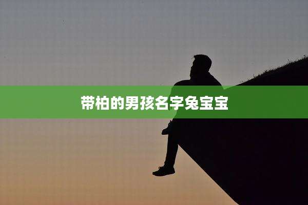 带柏的男孩名字兔宝宝