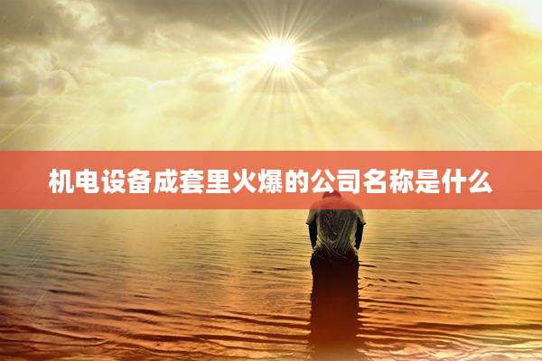 机电设备成套里火爆的公司名称是什么