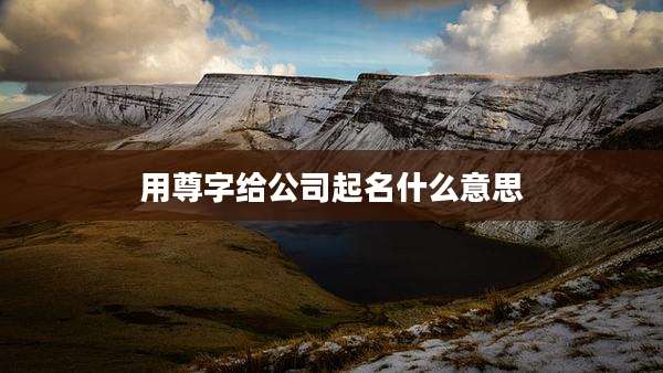 用尊字给公司起名什么意思